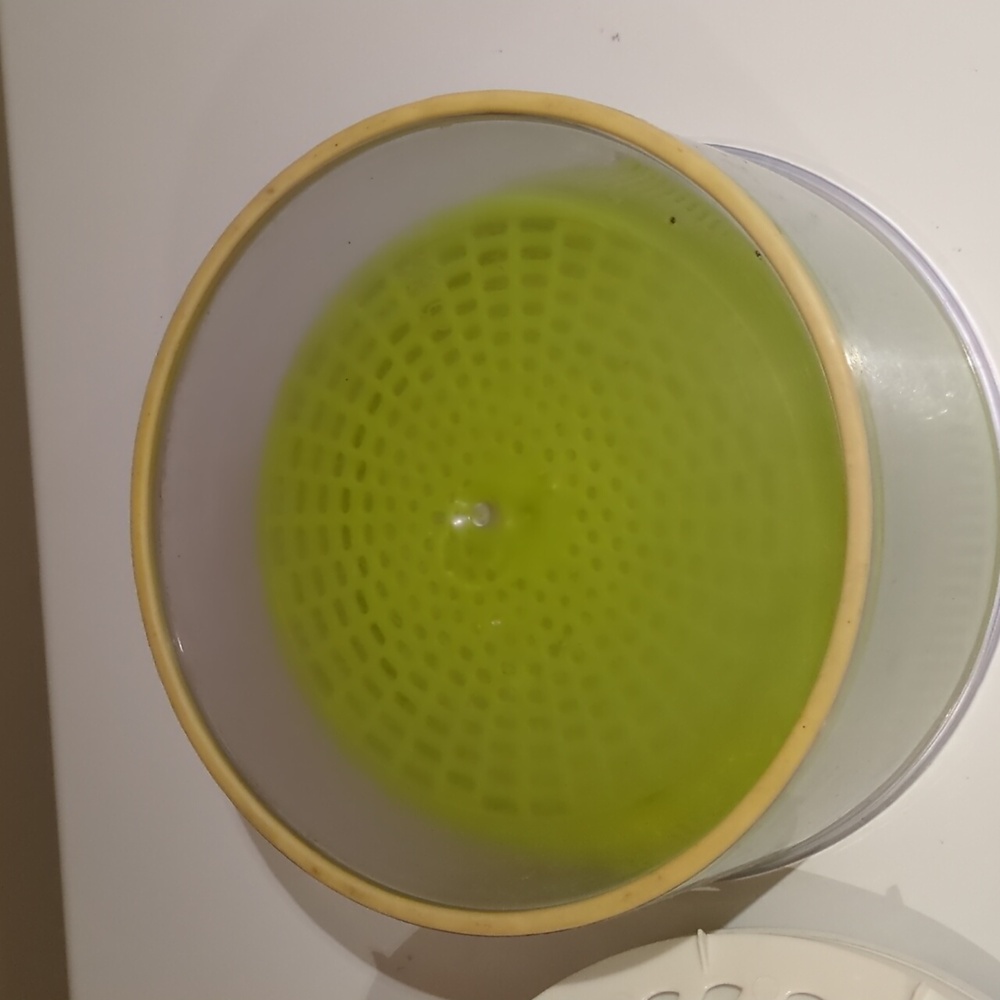 🎁Salad Spinner - Picture 5 of 6